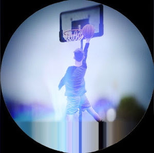 Meet your Posher, Riley